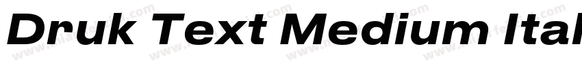 Druk Text Medium Italic字体转换